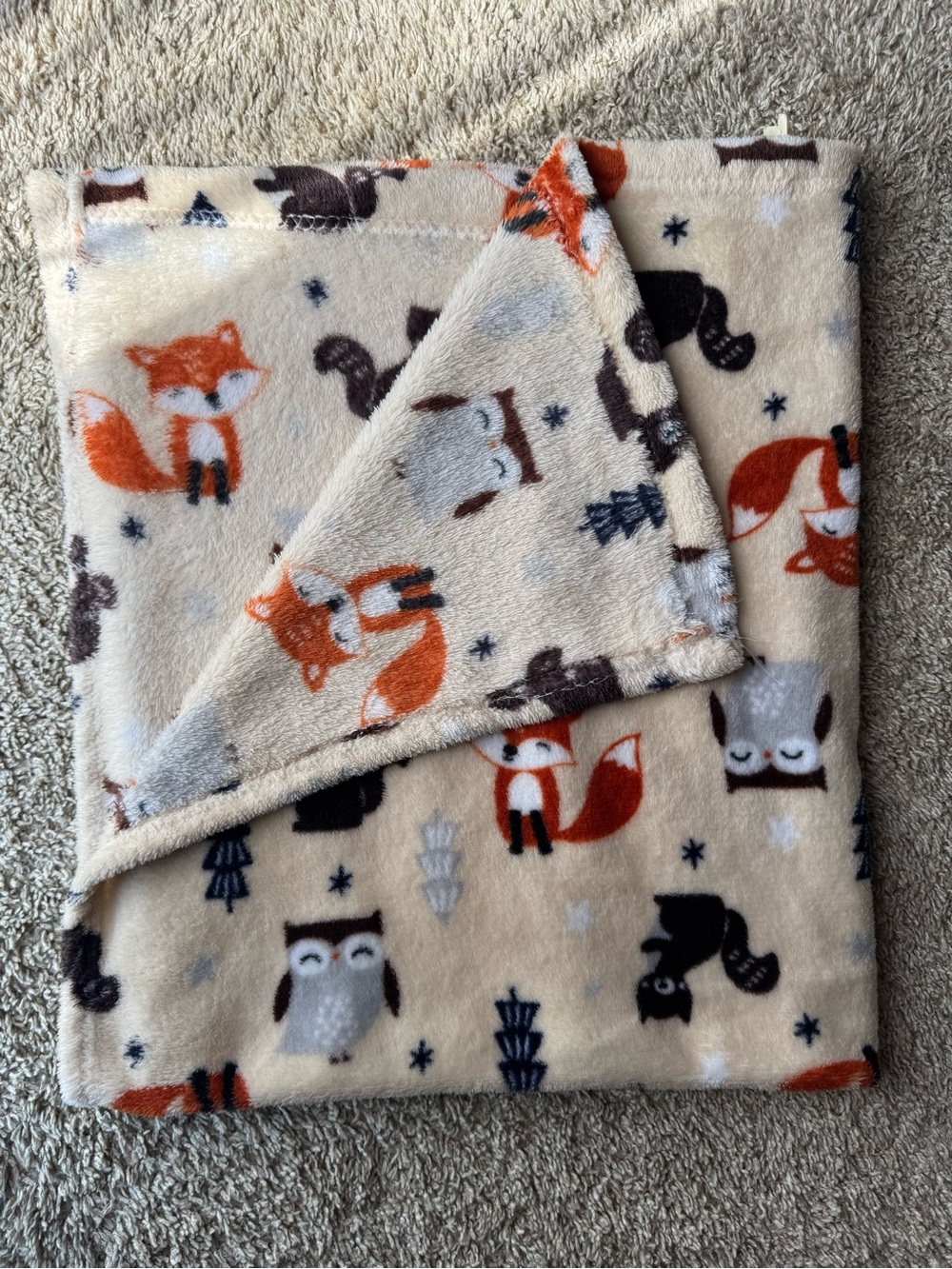 Parent’s Choice Woodland Animals Plush Baby Blanket 30” x 36” Fox Owl Squirrel